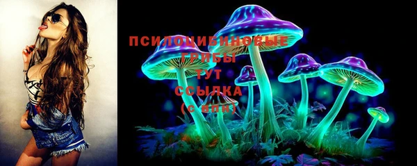 гидропоника Пестово